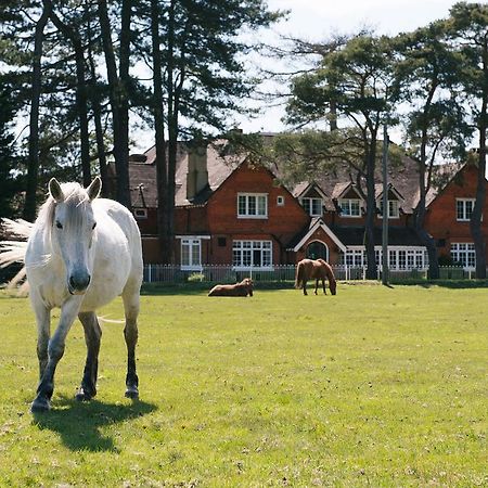 Beaulieu Hotel Lyndhurst Eksteriør bilde